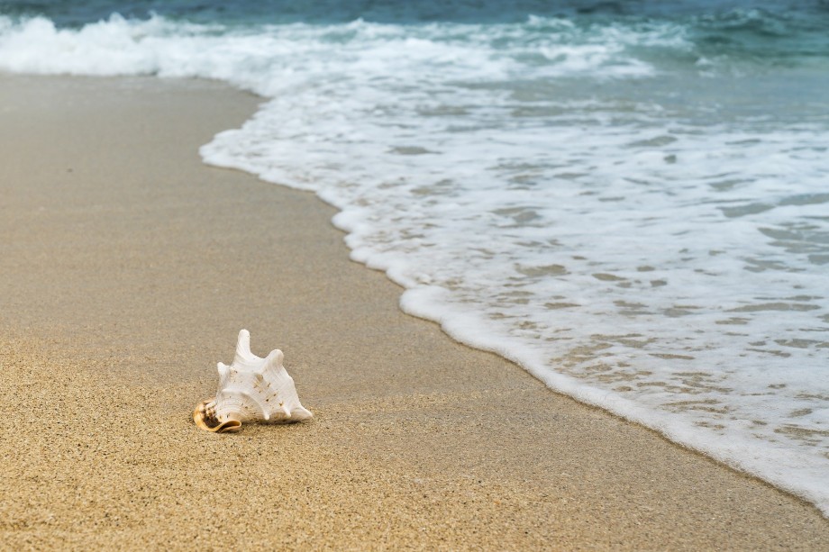 pixabay.com | Опасность для воды